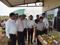 15.-Delegates-from-Ministry-of-Agriculture-Bangladesh-@-VNR-Farm-2