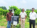 15.-Dr.-S.C-Swain-HOD-Fruit-Science-OUAT-at-VNR-RD-Farm-Kohadiya-CG