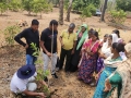 Farmer-Meeting-with-Tribal-Integrated-Development-and-Education-Trust-at-Valsad-GJ-May-2023-1