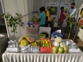 NOURISH-LAND-EXHIBITION-RAIPUR-CG-25-JAN-2020-3