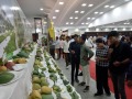 MANGO-FESTIVAL-IGKV-RAIPUR-CG-12-14-JUNE-2024-3