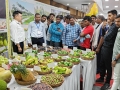 MANGO-FESTIVAL-IGKV-RAIPUR-CG-12-14-JUNE-2024-4