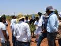 Training on Custard Apple Pruning Mahasamund CG May 2019 - 3