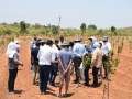 Training on Custard Apple Pruning Mahasamund CG May 2019 - 1