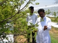 Training on Custard Apple Pruning Mahasamund CG May 2019 - 2