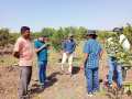 Production of Planting Material & Cultivation Practices of Arid Crops, CHES - CIAH, Godhra, GJ - Mar 2021-6