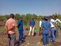 Production of Planting Material & Cultivation Practices of Arid Crops, CHES - CIAH, Godhra, GJ - Mar 2021-3