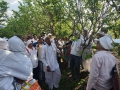 Custard Apple Pruning Training Sitaphal Mahasangh Grower Jalna MH May 2023-2