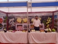 TOTAGARIKA-MELA-UHS-BAGALKOT-KA-29-31-DEC-2022-4